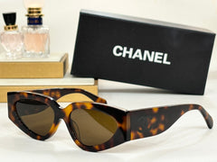 Code:CLGY0005