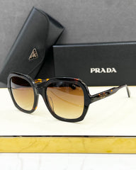 Code:PAGY0012