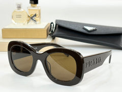 Code:PAGY0013