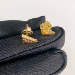 Code:PAEG0006