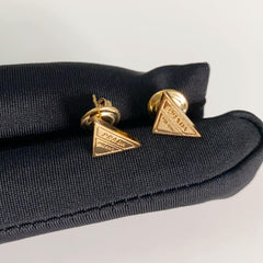 Code:PAEG0006